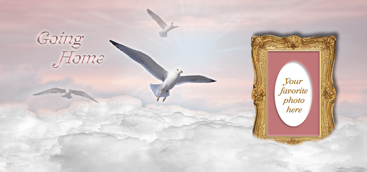 Going Home Clouds Birds Pink